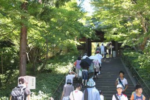 IMG_6380