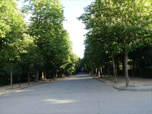 DSC04367_R