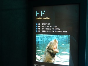 DSC05611_R