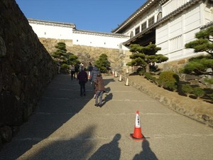 DSC01194_R
