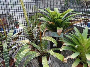 DSC09421_R