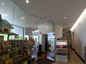 DSC05156_R