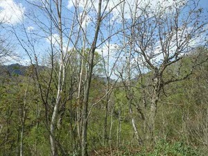 DSC04752_R