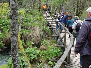 DSC00731_R