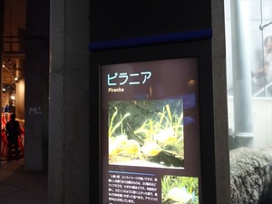 DSC05601_R