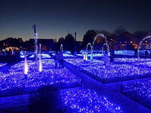 DSC01862_R