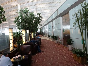 DSC00419_R
