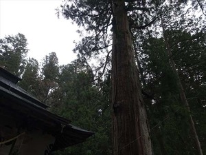 DSC09792_R