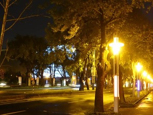 DSC03703_R