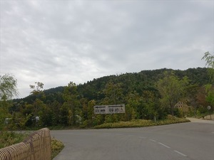 DSC04834_R