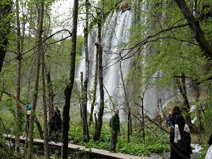 DSC00780_R