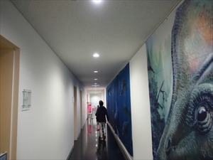 DSC05133_R