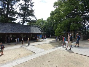 DSC01463_R