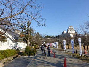 DSC01187_R