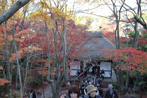 IMG_8995