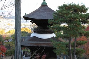 IMG_8992