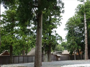 DSC07370_R
