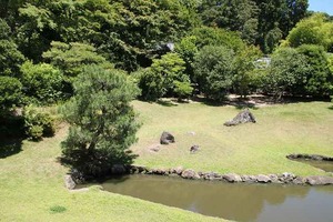 IMG_6466