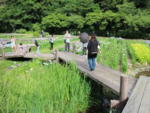 IMG_7104_R