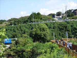 DSC09884_R
