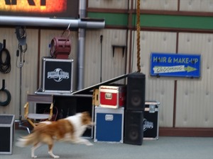 DSC07363_R