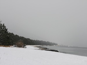 IMG_2695_R