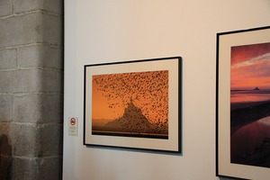 IMG_6038