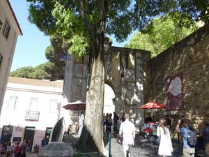 DSC07442_R
