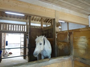 DSC01406_R