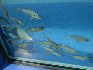 DSC05659_R