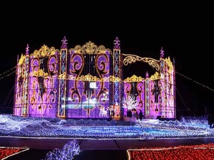 IMG_3677_R
