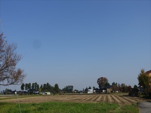 DSC01307_R