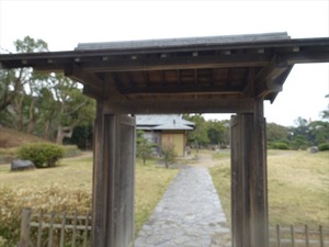 DSC08819_R