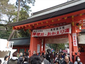 DSC01571_R