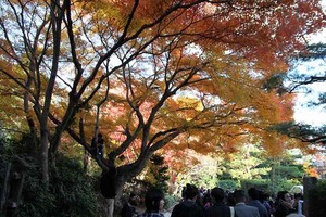 IMG_9013