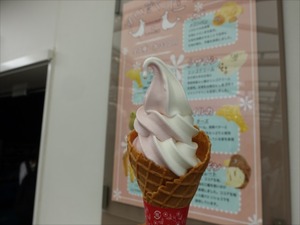 DSC07819_R