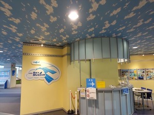 DSC07268_R