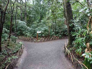 DSC02425_R