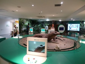 DSC02347_R