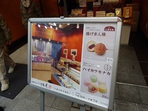 DSC02858_R