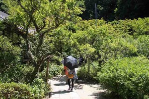IMG_6409