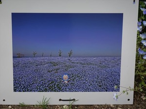 DSC00185_R