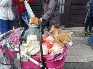 DSC09515_R