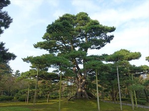 DSC06623_R