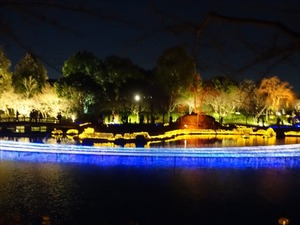 DSC01877_R