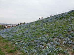 DSC00148_R