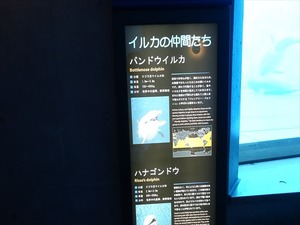 DSC05621_R