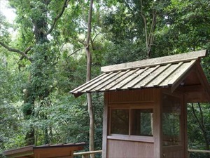 DSC07353_R