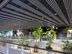 DSC02304_R