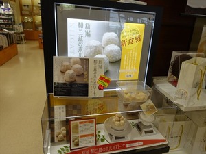 DSC08823_R